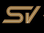 Speed View USA logo