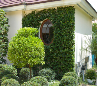 Oliveri Architectural Windows and Doors image 6