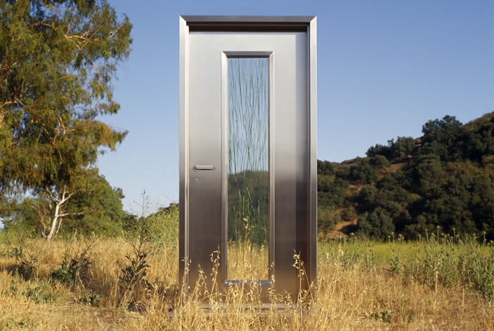 Neoporte Modern Door image 3