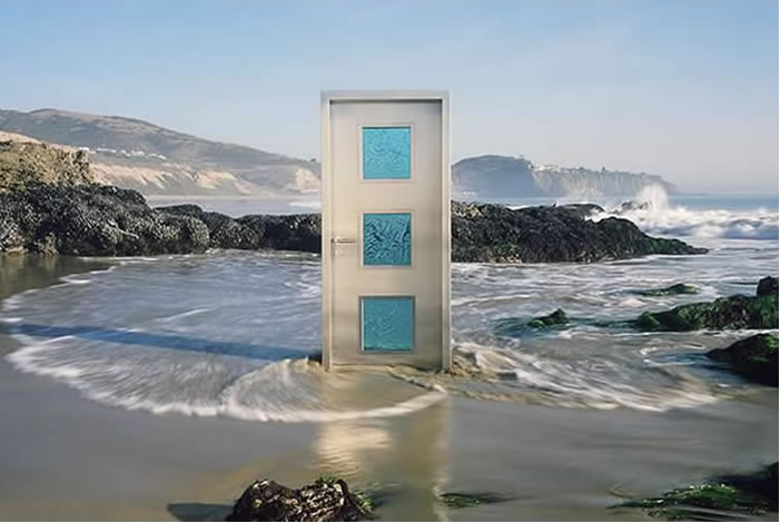 Neoporte Modern Door image 1