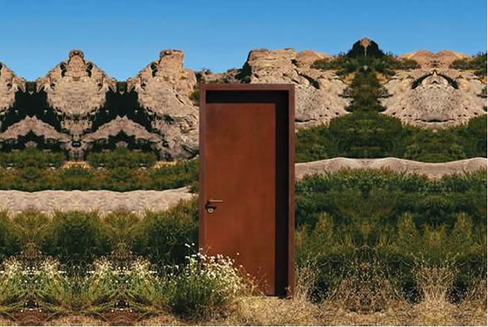 Neoporte Modern Door image 2