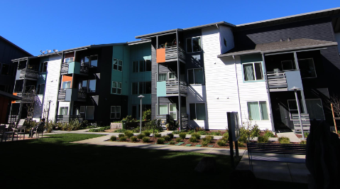 Tamlyn image 1
