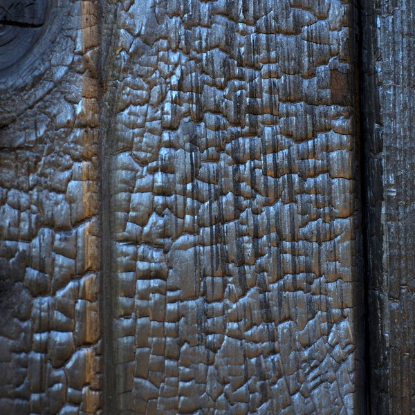Charred Wood image 18