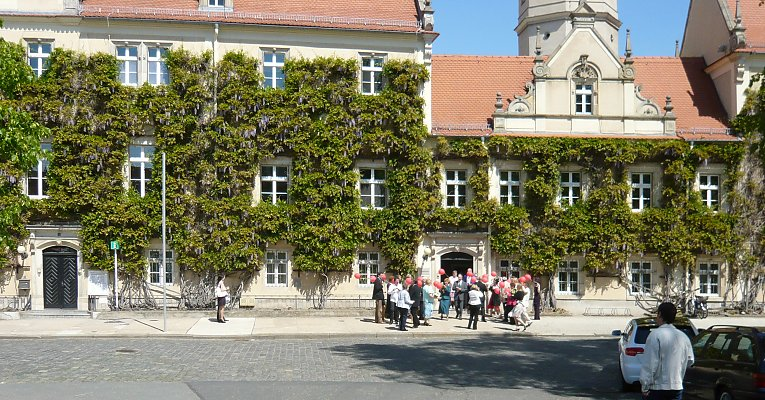 Fassaden Gruen image 6