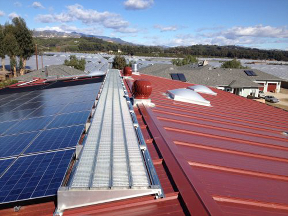 Acralight International Skylights image 8