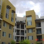 American Openings image 9