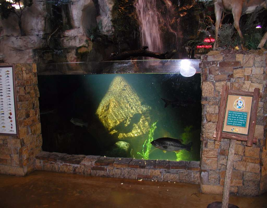 Aquafin image 2