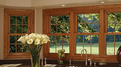 Stanek Windows image 8