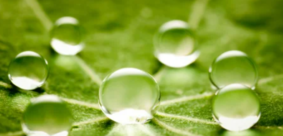 Sustainability