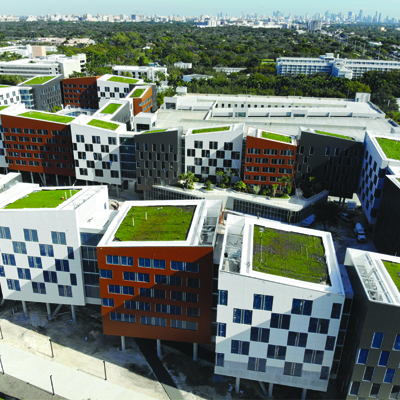 Green Roof System
