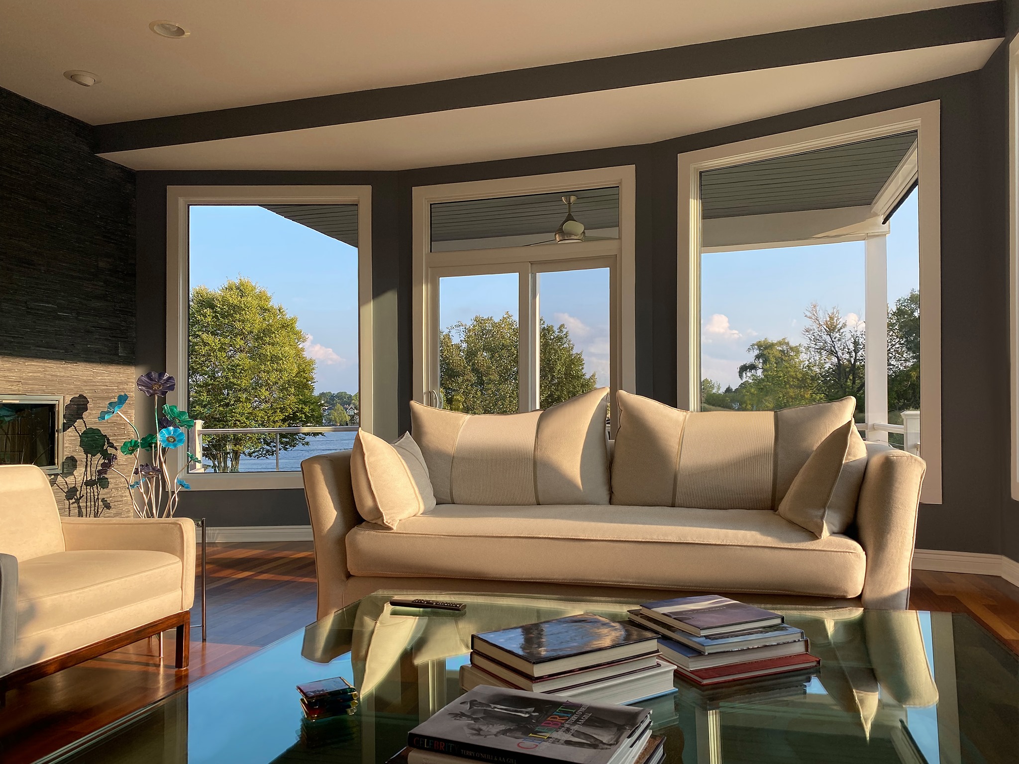 Energy Efficient Windows