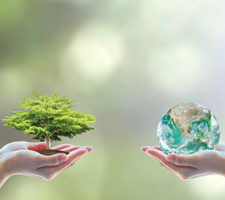Sustainability
