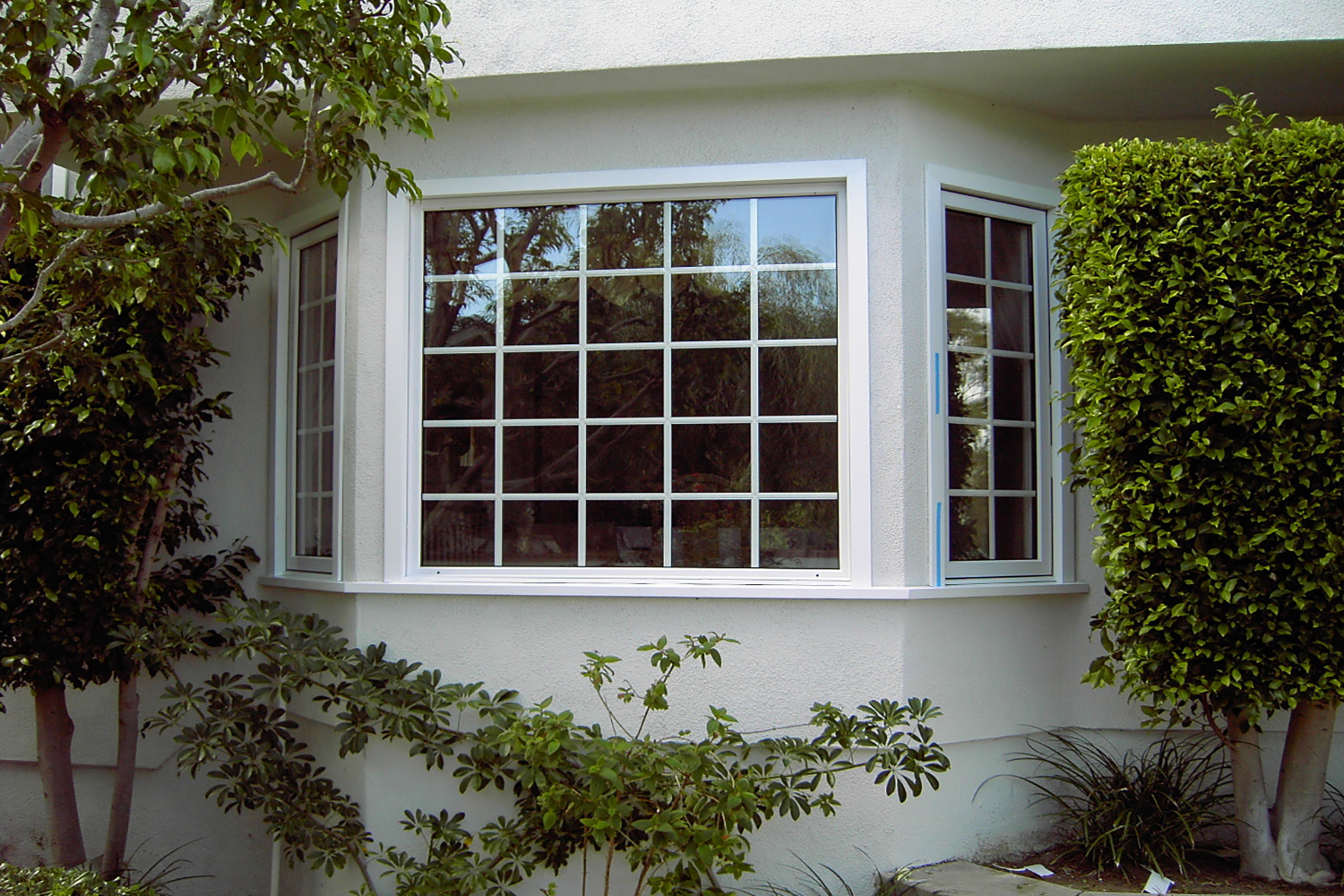 California Deluxe Windows image 10