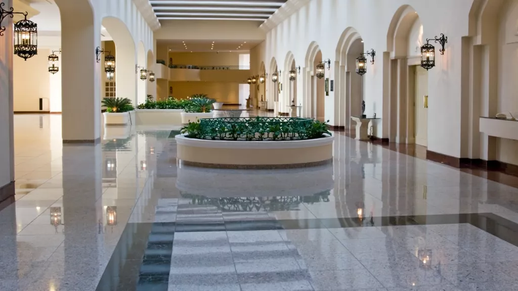 Sika image 5