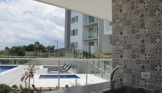 Sika image 4