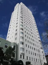 Sika image 8