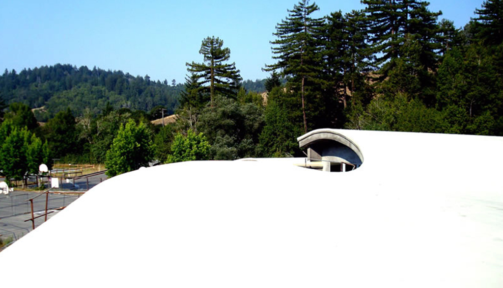 Neptune Coatings image 3