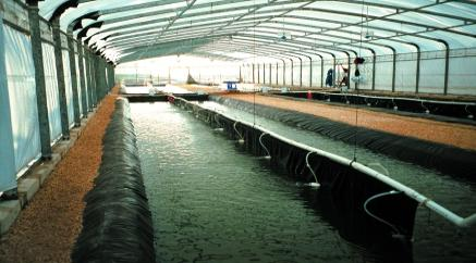 Reef Industries, Inc. image 1
