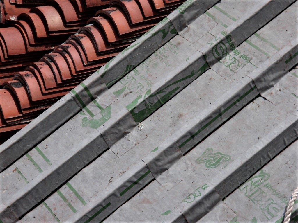 Sharkskin image 3