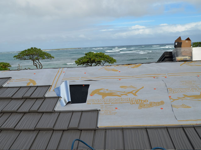 Sharkskin image 8
