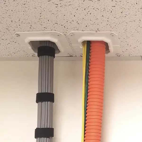 STI image 6