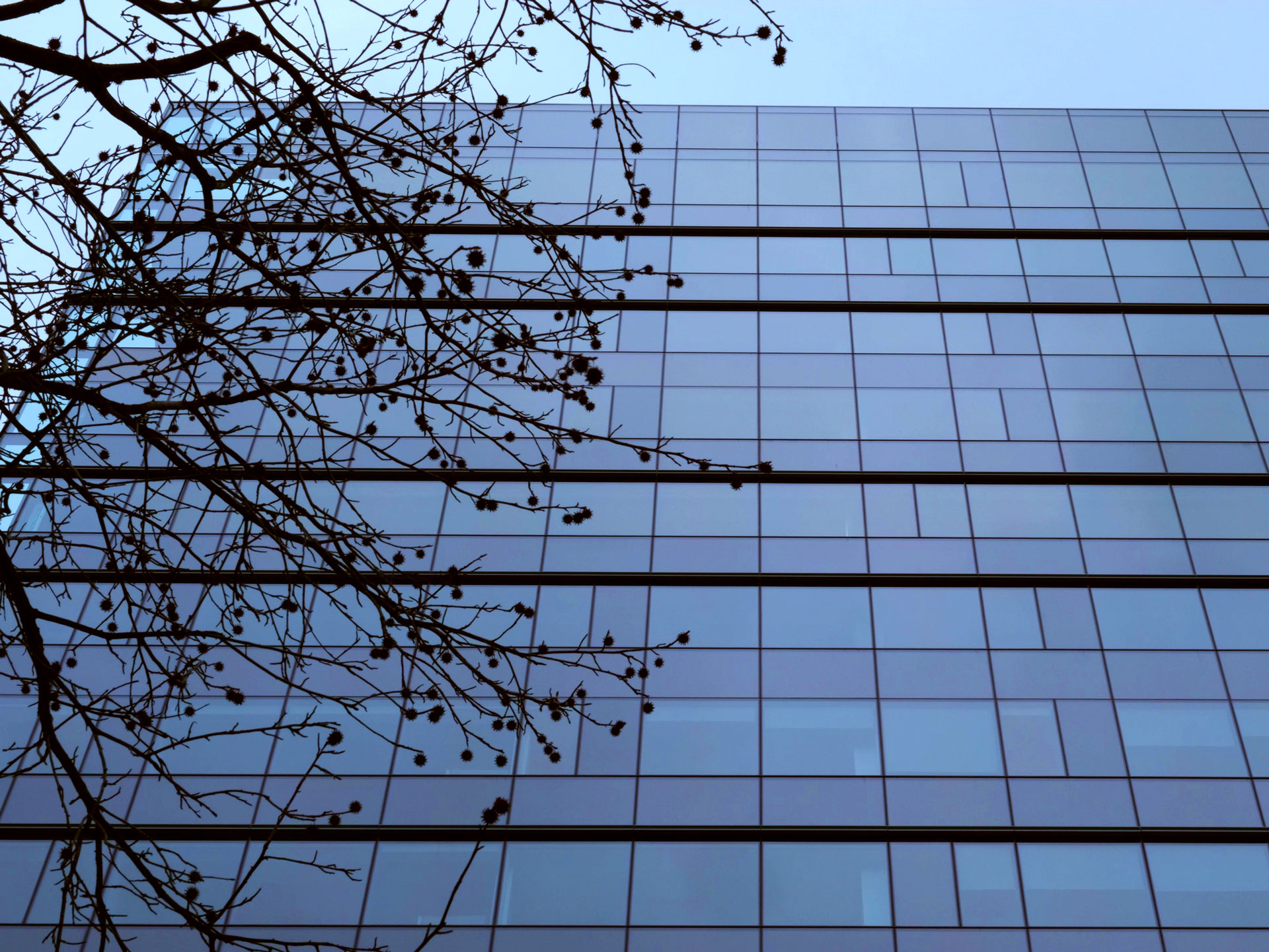 Erie Architectural image 11