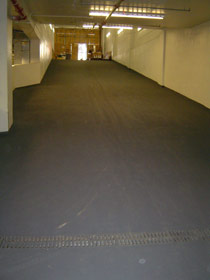 Kelmar image 16