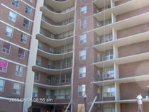 Kelmar image 7