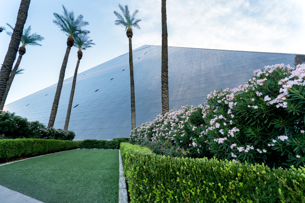 Pecora Corporation image 1