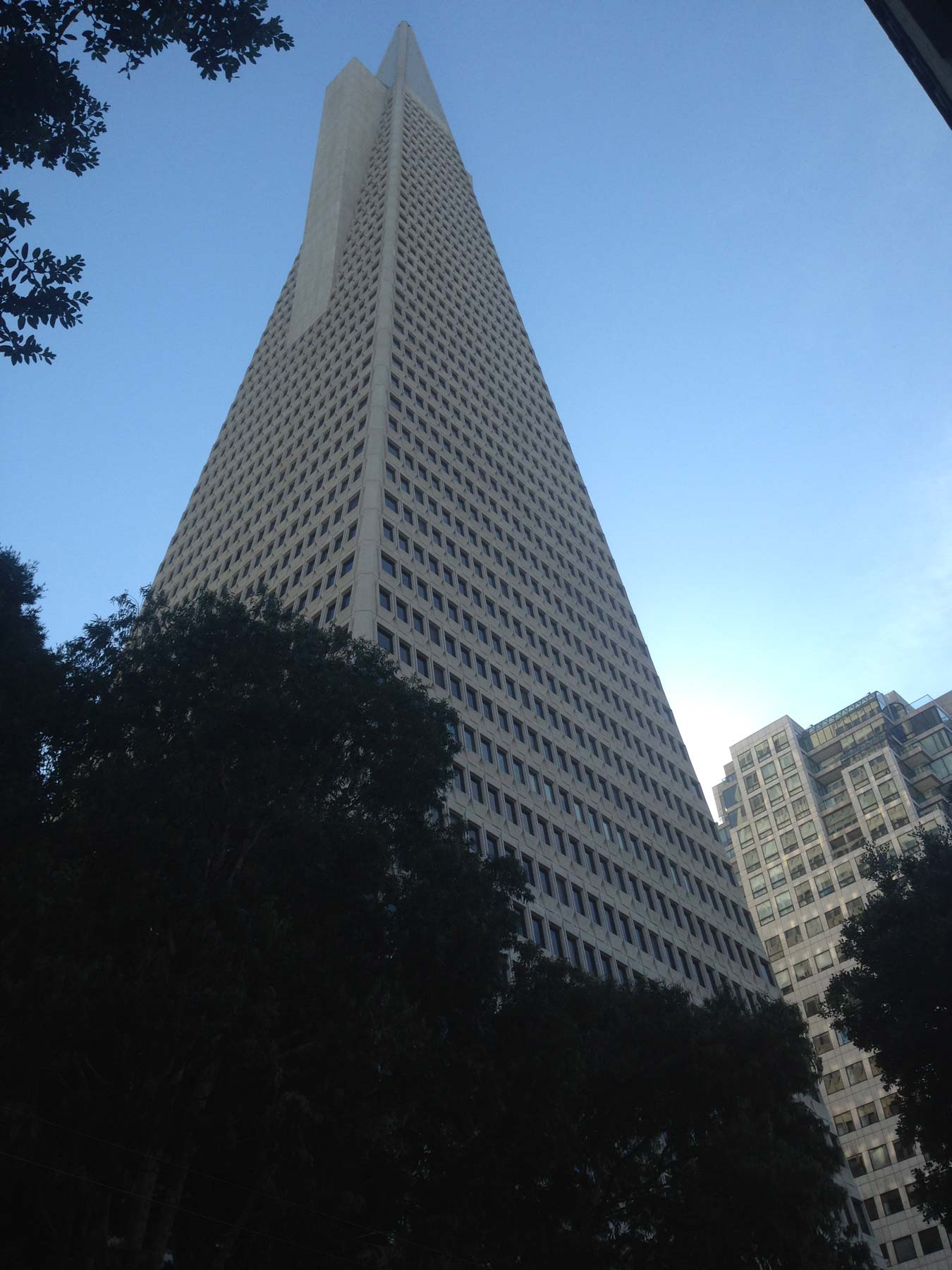 Pecora Corporation image 6