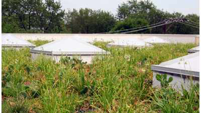 GreenGrid image 19