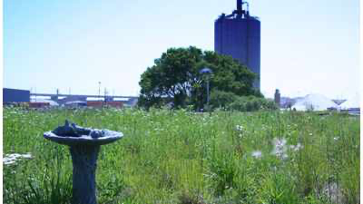 GreenGrid image 8