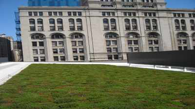 GreenGrid image 11