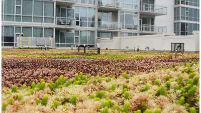 GreenGrid image 20