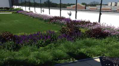 GreenGrid image 12