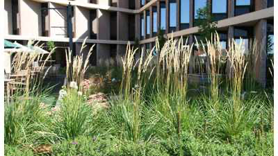 GreenGrid image 5