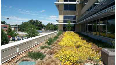 GreenGrid image 6
