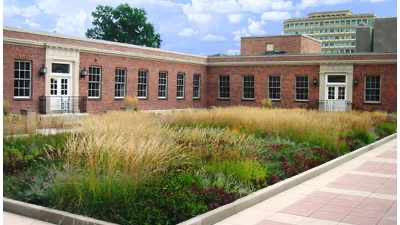 GreenGrid image 4