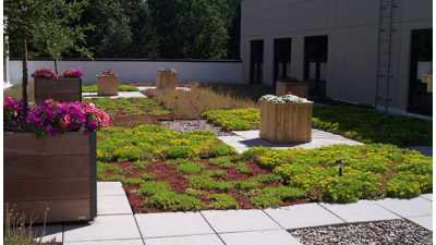 GreenGrid image 9
