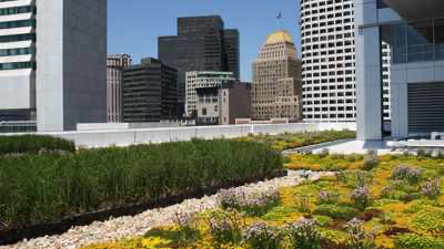 GreenGrid image 17