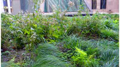 GreenGrid image 13