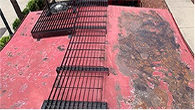 AcryLabs image 2