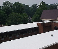 AcryLabs image 6