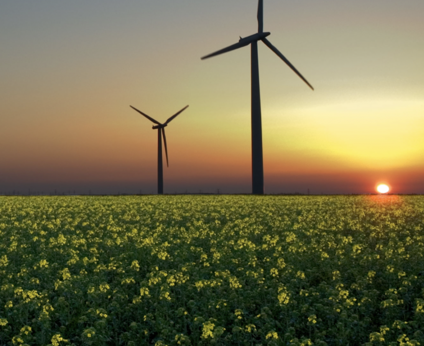 Eco-friendly Production