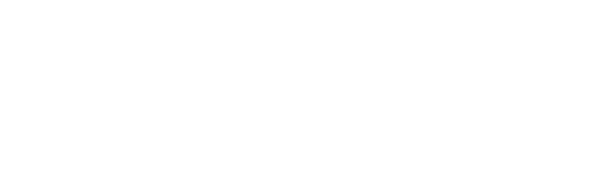 Dudick logo