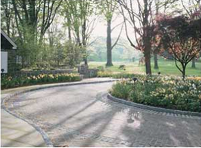 Eurocobble image 8