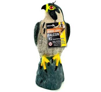 Bird-X image 11