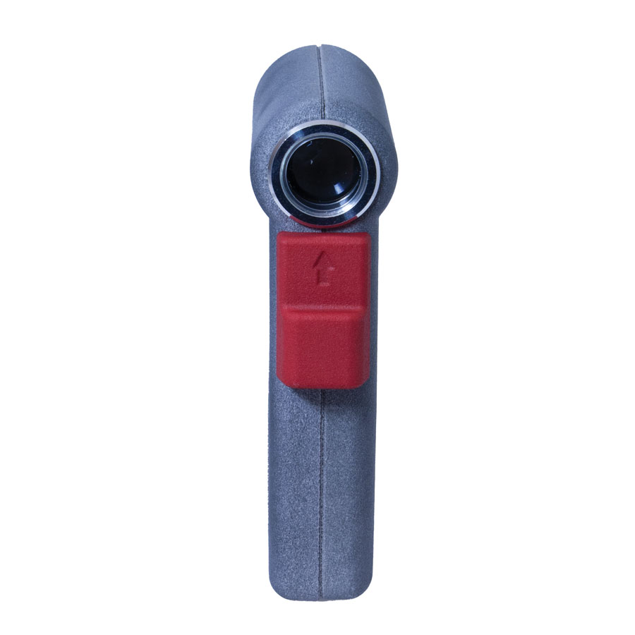 Bird-X image 2