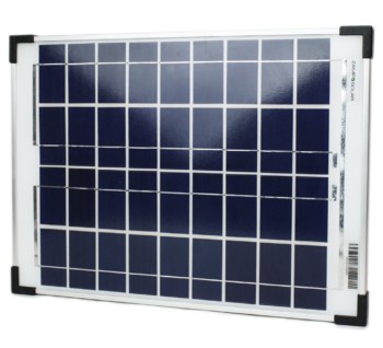 Bird-X image 15