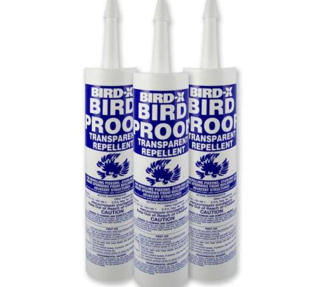 Bird-X image 16